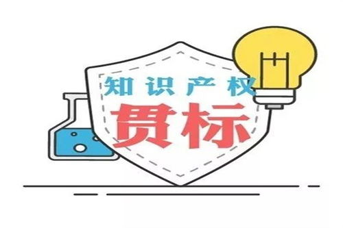 焦作公司贯标费用解析 世丰企业管理咨询助力企业合规升级